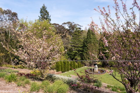 Leura Gardens Festival - Cancelled - Accommodation Tasmania 2