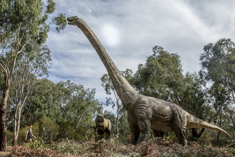 Lost Sanctuary At Healesville Sanctuary - Accommodation Tasmania 0