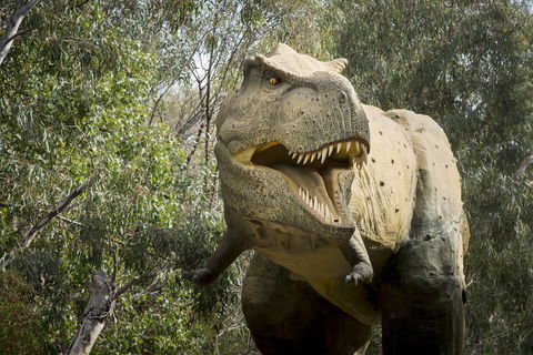 Lost Sanctuary At Healesville Sanctuary - Accommodation Tasmania 2