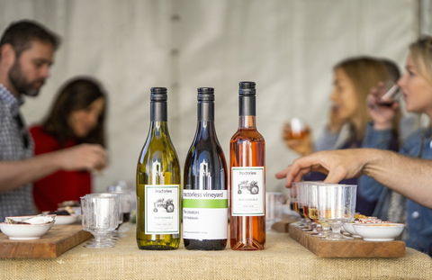 Southern Highlands Food And Wine Festival - Accommodation Tasmania 2