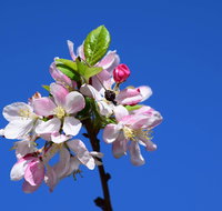 Spring time at Hunter Valley Gardens - Accommodation Tasmania
