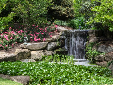 Spring Time At Hunter Valley Gardens - Accommodation Tasmania 1