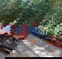 Twilight Run   Willans Hill Miniature Railway - Accommodation Tasmania