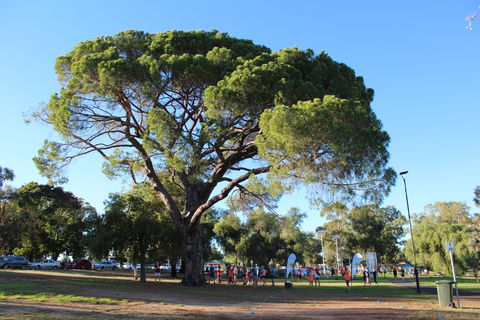 Wagga Parkrun - Accommodation Tasmania 1