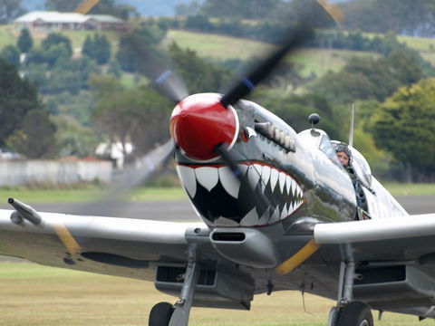 Wings Over Illawarra - Accommodation Tasmania 0