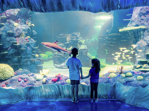 Sydney's Aquarium - Accommodation Tasmania 1