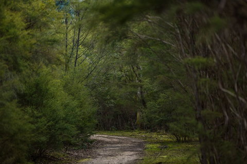 Yering Gorge Cottages - Accommodation Tasmania 0