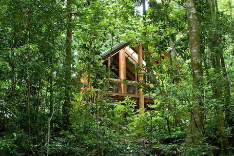 The Canopy Rainforest Treehouses And Wildlife Sanctuary - Accommodation Tasmania 1