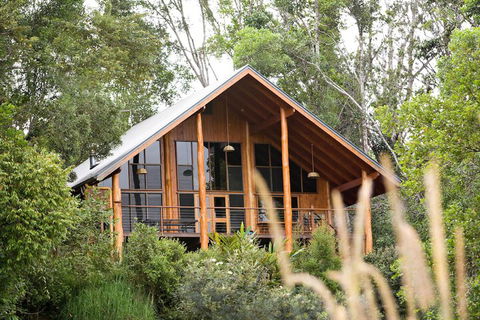 The Canopy Rainforest Treehouses And Wildlife Sanctuary - Accommodation Tasmania 2