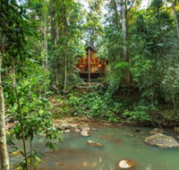 The Canopy Rainforest Treehouses and Wildlife Sanctuary - Accommodation Tasmania