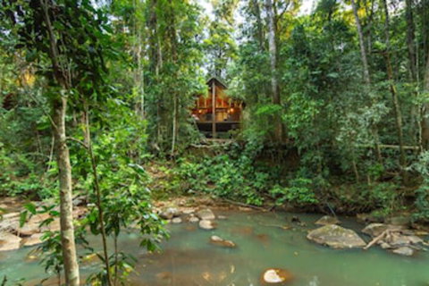 The Canopy Rainforest Treehouses And Wildlife Sanctuary - Accommodation Tasmania 0