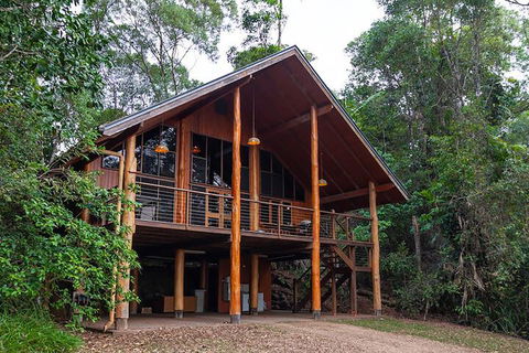 The Canopy Rainforest Treehouses And Wildlife Sanctuary - Accommodation Tasmania 3