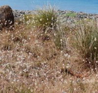 Schouten House - Accommodation Tasmania