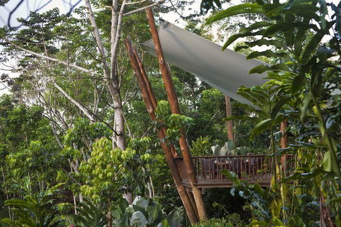 Rose Gums Wilderness Retreat - Accommodation Tasmania 2