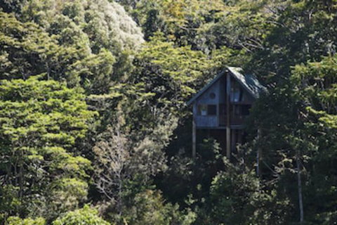 Rose Gums Wilderness Retreat - Accommodation Tasmania 0