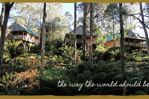 Lemonthyme Wilderness Retreat - Accommodation Tasmania 5