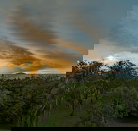 Ocean International - Accommodation Tasmania