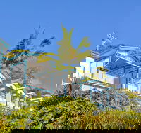 Tangalooma Island Resort - Accommodation Tasmania