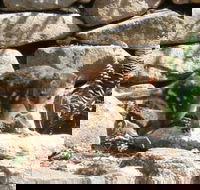 Jenolan Caves House - Accommodation Tasmania