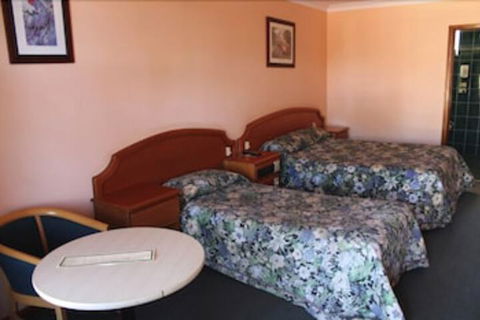 Nandewar Motor Inn - Accommodation Tasmania 4