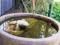 Hope Cottage Country Retreat - Accommodation Tasmania 4