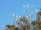 Hope Cottage Country Retreat - Accommodation Tasmania 1