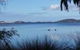 Lilacs Waterfront Villas & Cottages - thumb 0