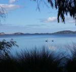 Lilacs Waterfront Villas  Cottages - Accommodation Tasmania