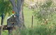 Birdhouse Cottage B & B - thumb 5