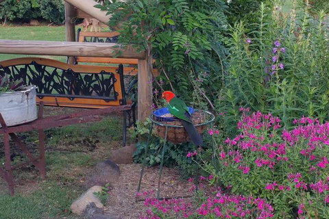 Birdhouse Cottage B & B - Accommodation Tasmania 3