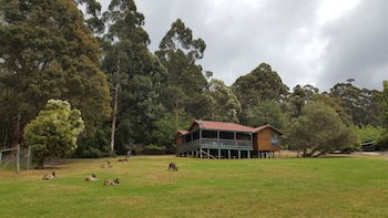 Walpole Wilderness Resort - Accommodation Tasmania 5