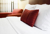 Haley Reef Views B & B - Accommodation Tasmania 0