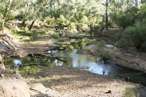 Barrabup Sanctuary BirdHide - Accommodation Tasmania 4