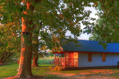 Colac Colac Caravan Park - Accommodation Tasmania 5