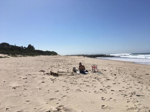 SHELLHARBOUR BEACH COTTAGE 1 Minute Walk To Beach Flags In Summer - Accommodation Tasmania 1