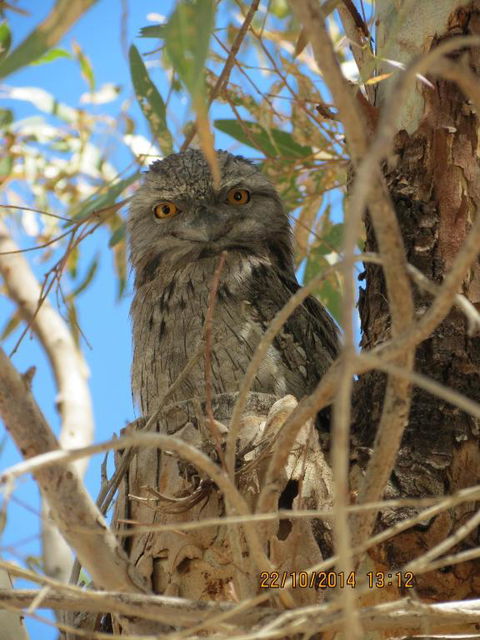 Kalbarri Tudor Holiday Park - Accommodation Tasmania 3