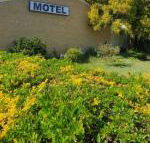 Esk Motel - Accommodation Tasmania