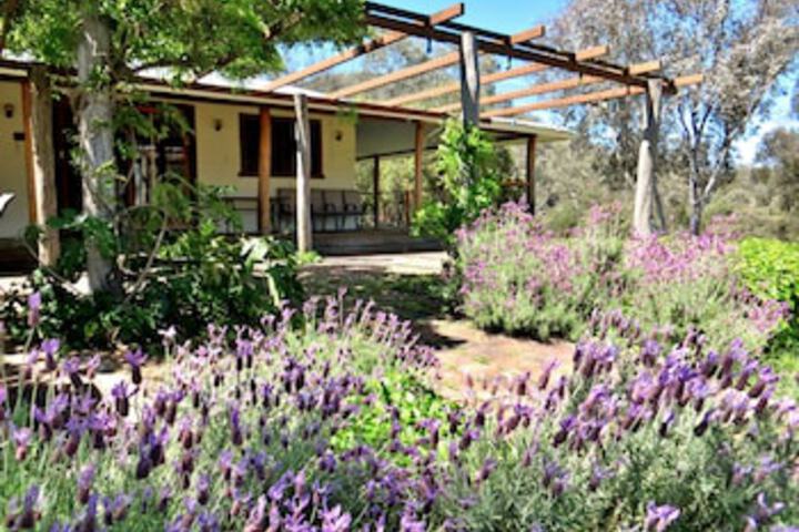  Accommodation Tasmania
