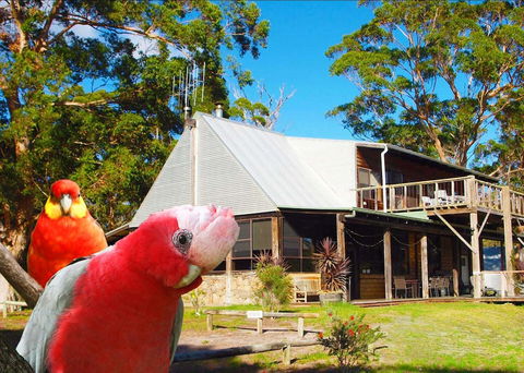 Wolfes Landing Eco Retreat - Accommodation Tasmania 2