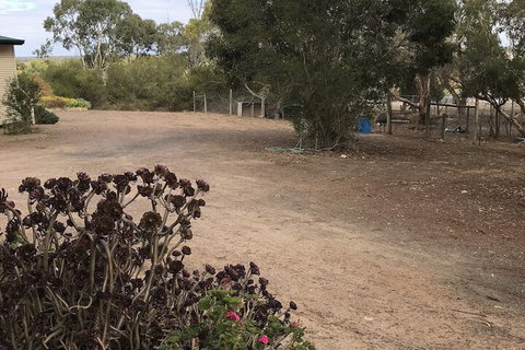 Padthaway Caravan Park - Accommodation Tasmania 1