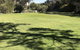 Padthaway Caravan Park - thumb 2