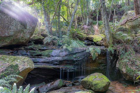 Waterfall Springs Retreat And Wildlife Sanctuary - Accommodation Tasmania 3