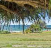 Pandanus on Emerald - Accommodation Tasmania