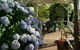 Nannup Riverview Cottage - thumb 3