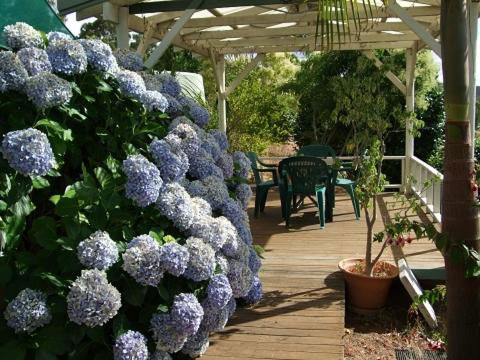 Nannup Riverview Cottage - Accommodation Tasmania 3
