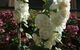 Nannup Riverview Cottage - thumb 2