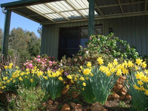 Nannup Riverview Cottage - Accommodation Tasmania 0