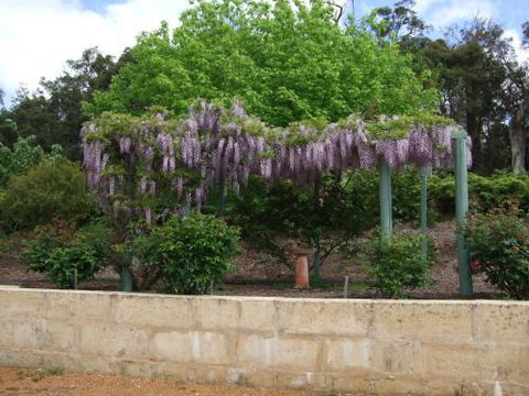 Nannup Riverview Cottage - Accommodation Tasmania 5