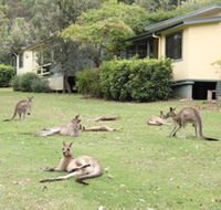 Depot Beach Cabins - Accommodation Tasmania