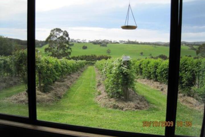 Murroon VIC Accommodation Tasmania